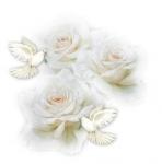 Le Paradis Blanc Organisations de mariages Wedding Planners et d\'Ev�nements